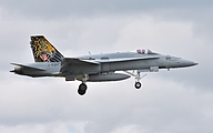 FA-18C J-5011 FS11